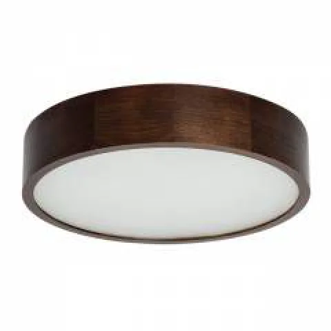 Armaturen en plafonnières voor plafond montage.