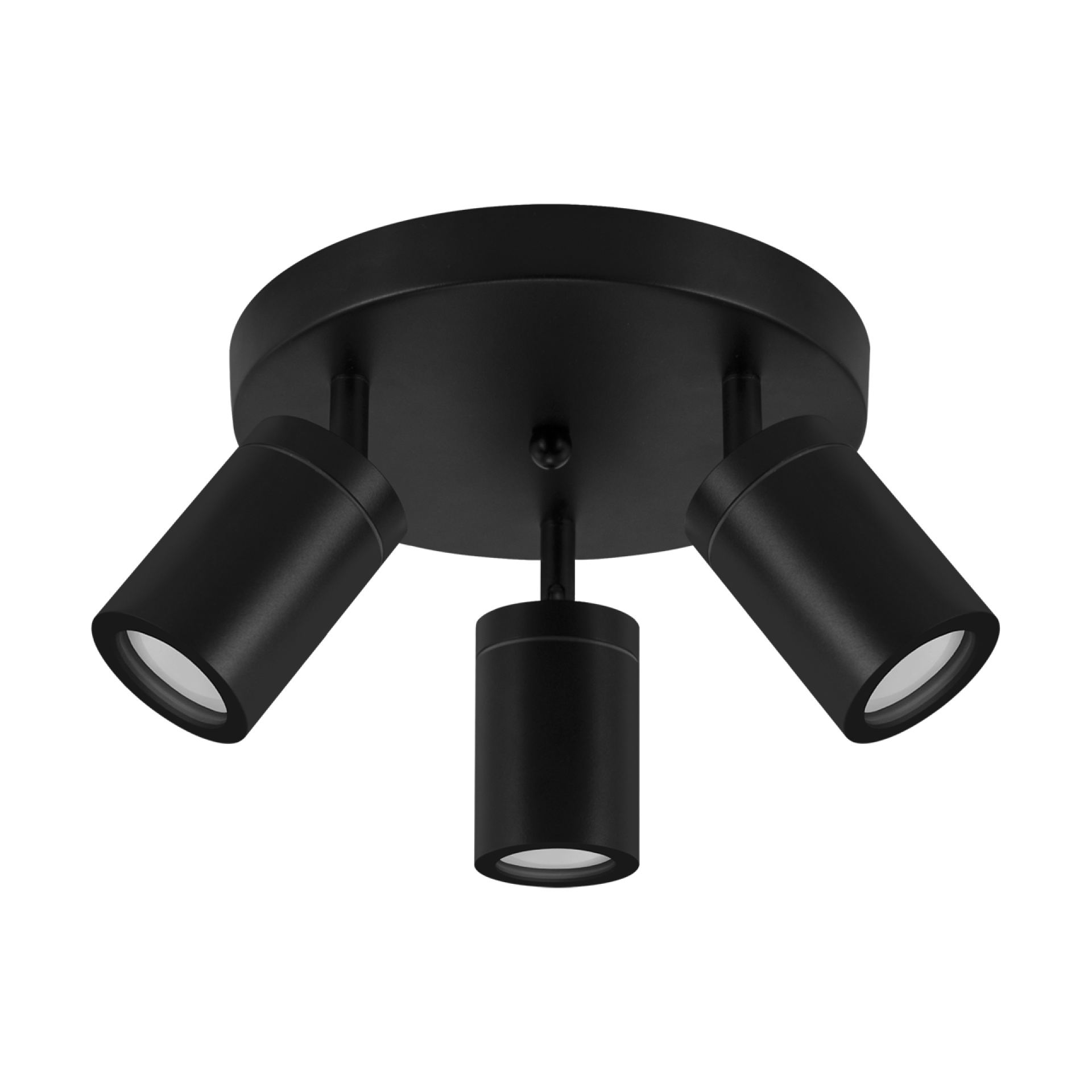 tenor 3 v zw