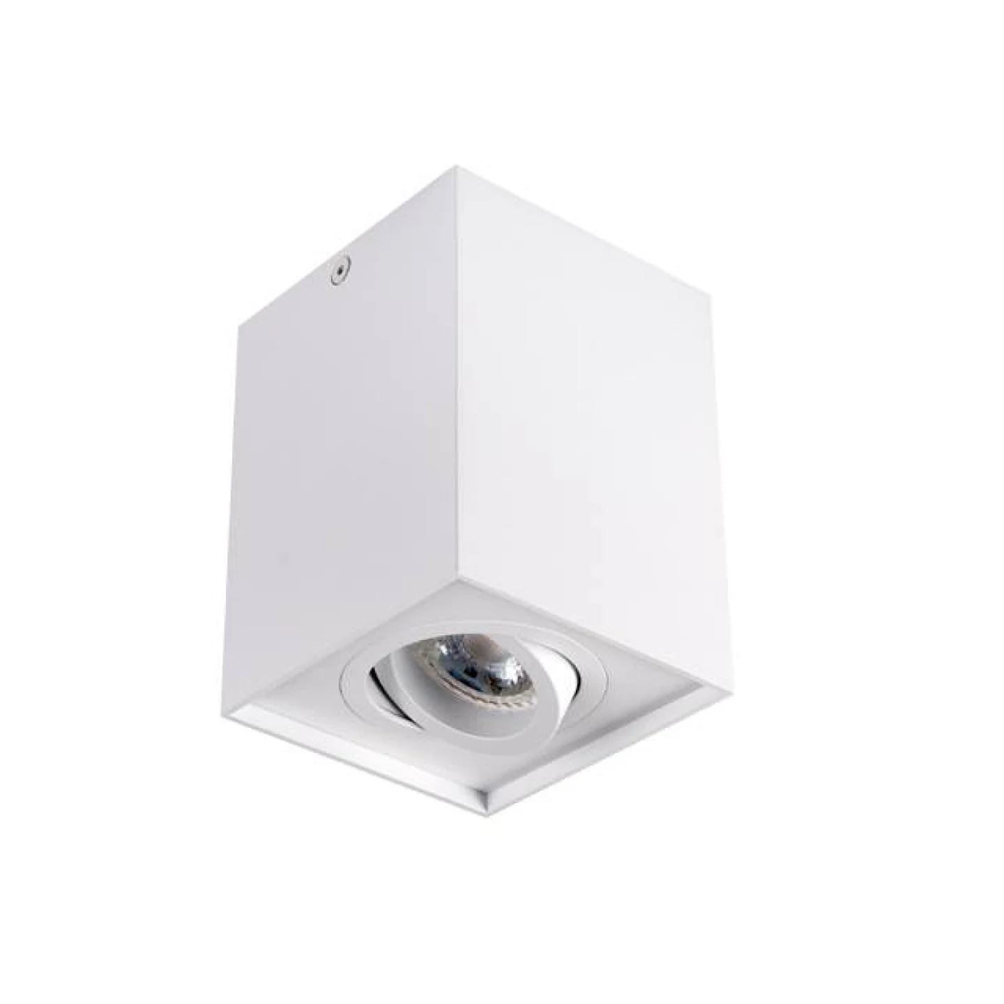 opbouwspot wit led verstelbaar.