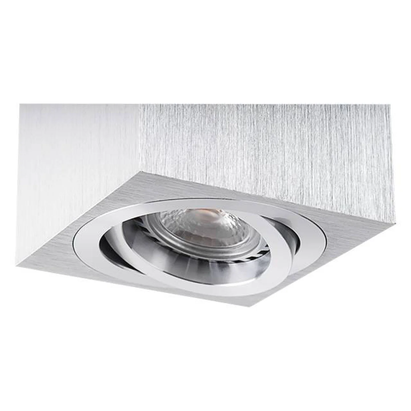 alu kantelbare led spot opbouw.