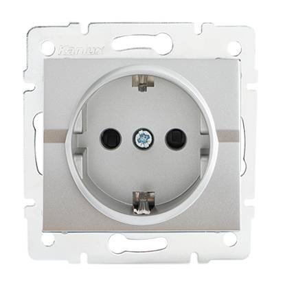 25207 stopcontact zilver geaard