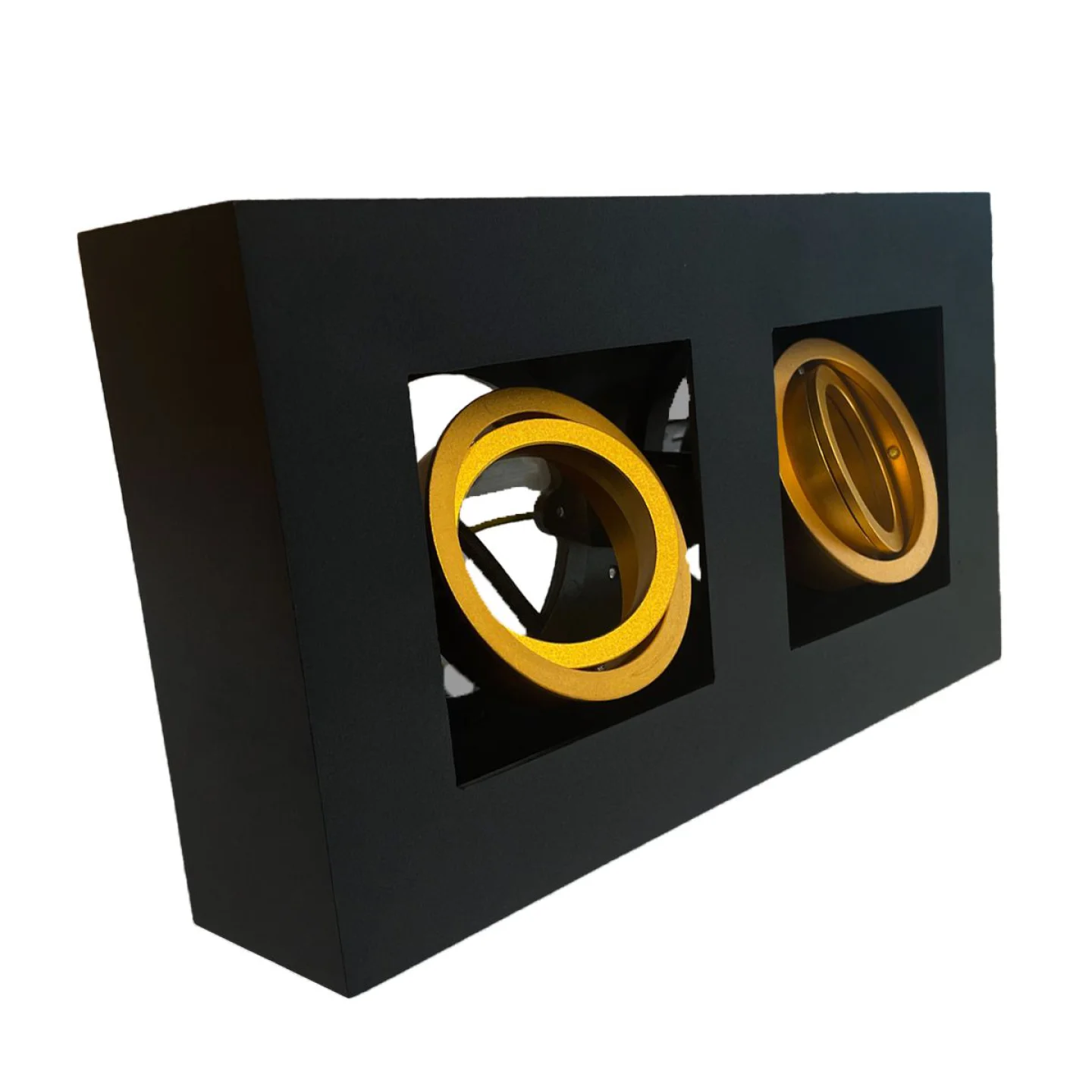 Nemo-II-1-opbouwspot-zwart-goud.