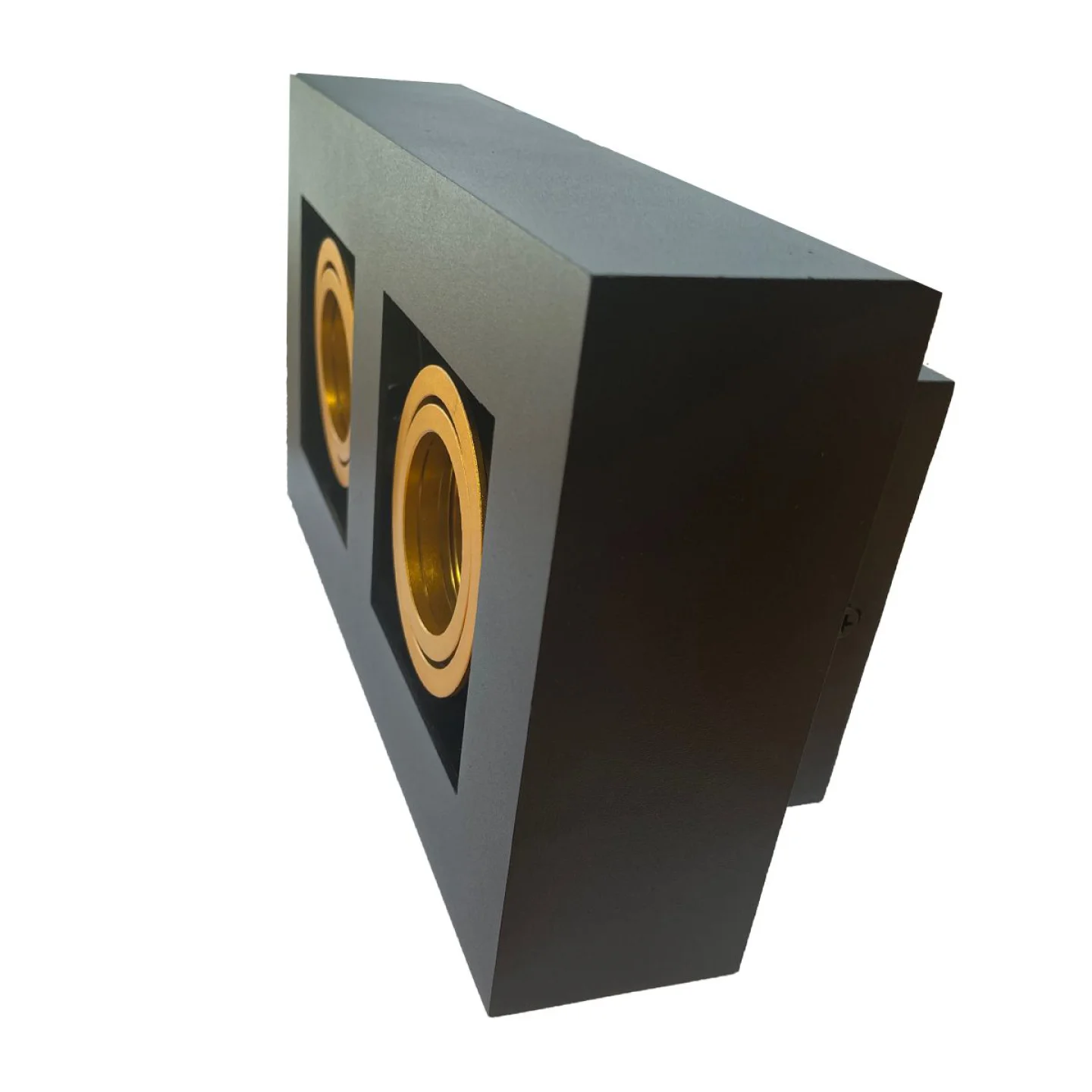 Nemo-II-2-opbouwspot-zwart-goud.